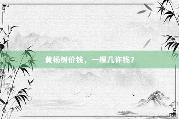 黄杨树价钱，一棵几许钱？